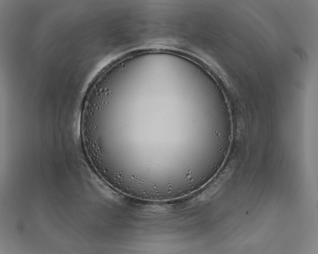 X0000112501224200908171302