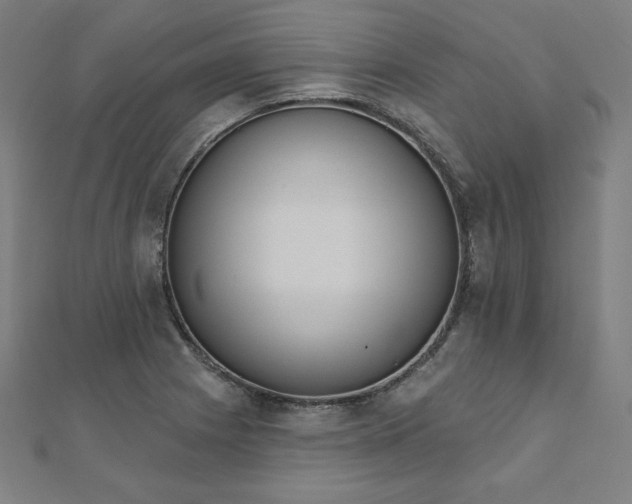 X0000112501225200908171302