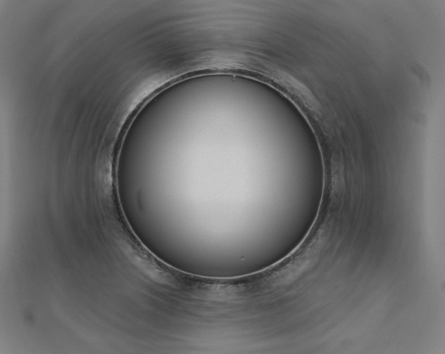 X0000112501226200908171302