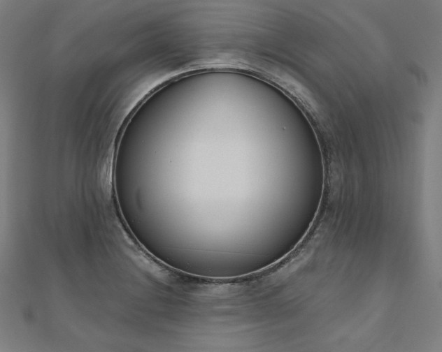X0000112501228200908171302