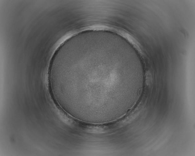 X0000112501229200908171302