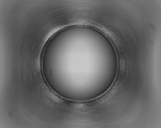 X0000112501230200908171302