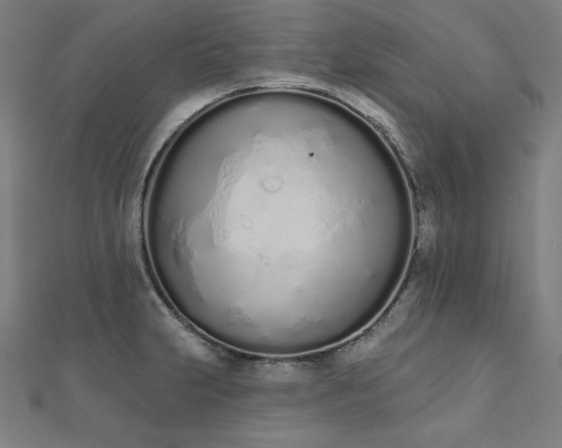 X0000112501231200908171302