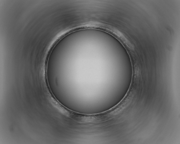 X0000112501232200908171302