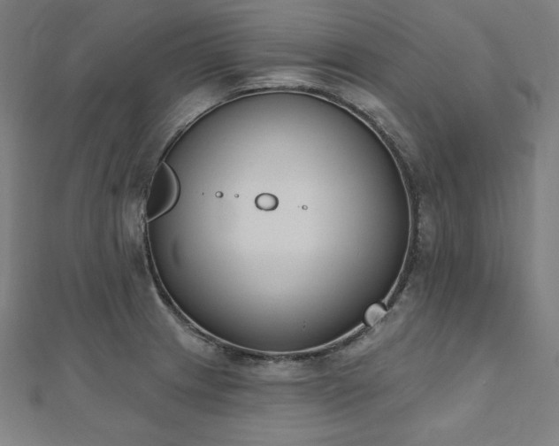 X0000112501233200908171302