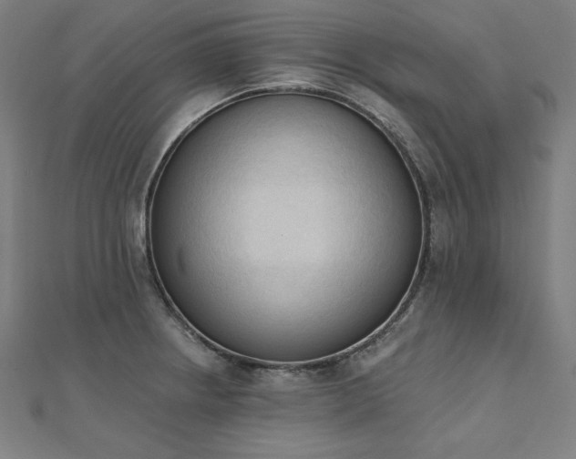X0000112501234200908171302