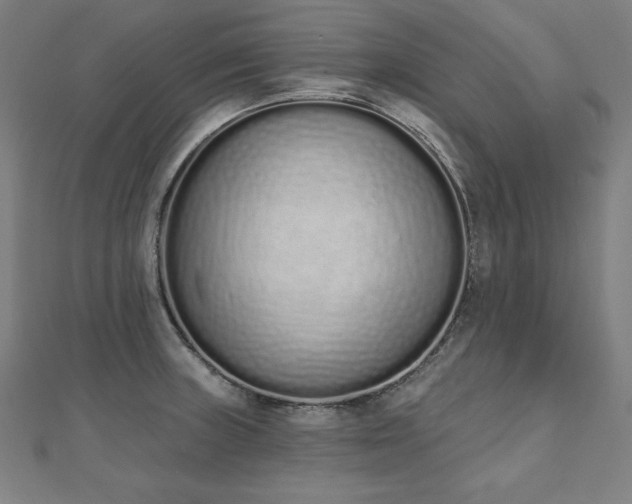 X0000112501235200908171302