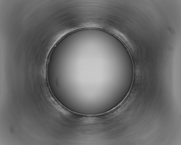 X0000112501236200908171302