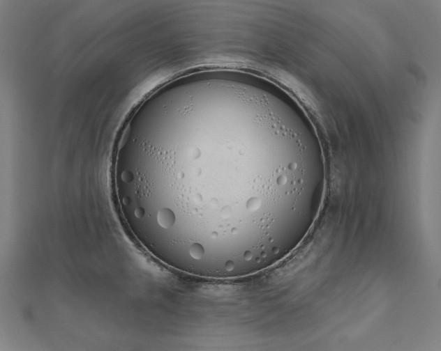 X0000112501237200908171302