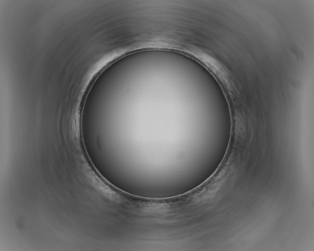 X0000112501238200908171302