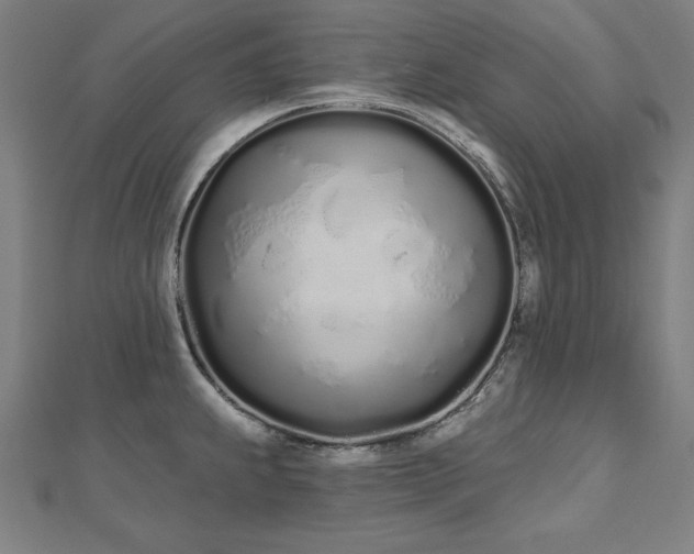 X0000112501239200908171302