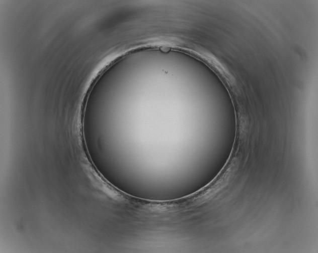 X0000112501240200908171302