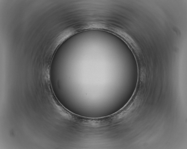 X0000112501241200908171302