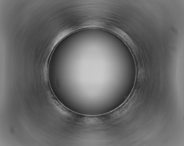 X0000112501242200908171302