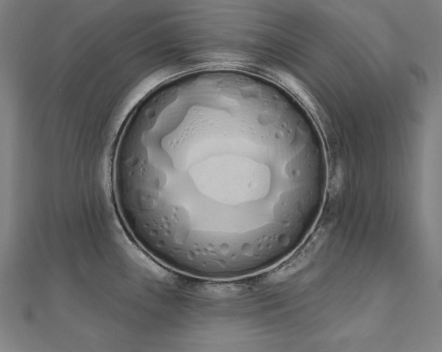 X0000112501243200908171302