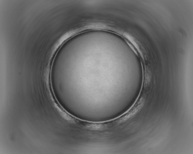 X0000112501245200908171302