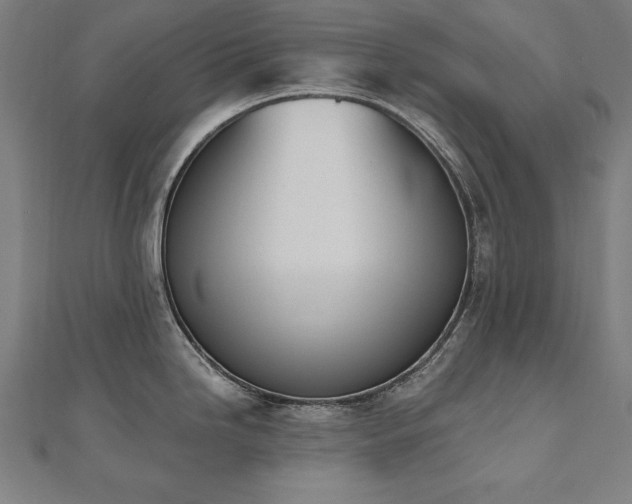 X0000112501246200908171302
