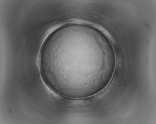 X0000112501247200908171302