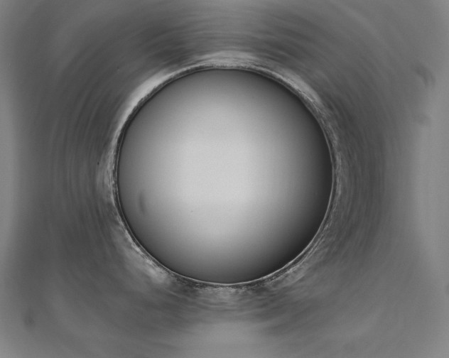 X0000112501248200908171302