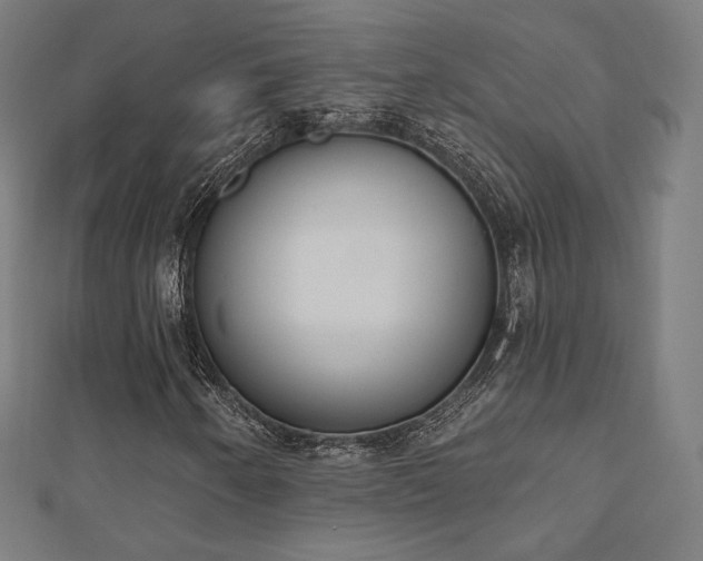 X0000112501250200908171301