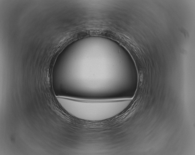 X0000112501252200908171301