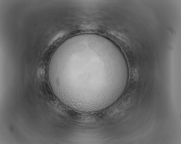 X0000112501254200908171301