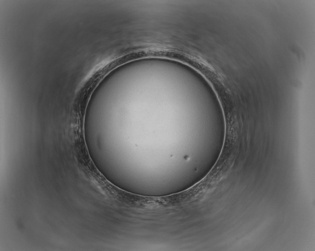X0000112501255200908171301