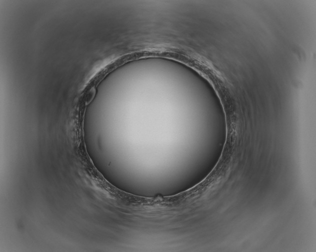 X0000112501256200908171301