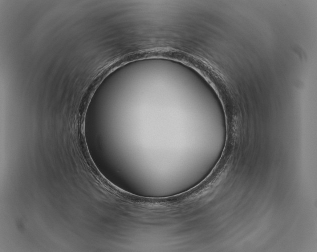 X0000112501257200908171301