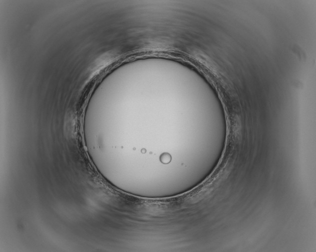 X0000112501258200908171301