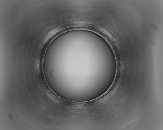X0000112501259200908171301