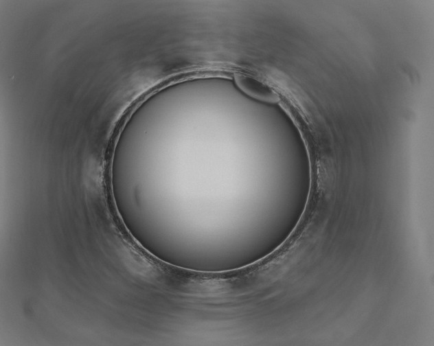 X0000112501260200908171301