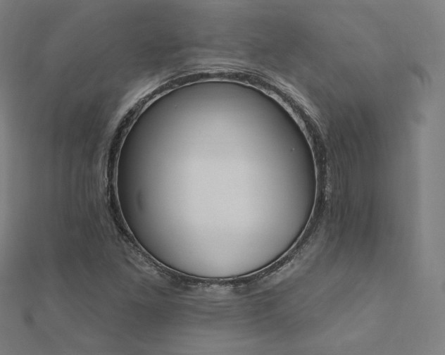 X0000112501261200908171301