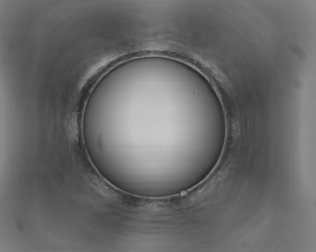 X0000112501262200908171301