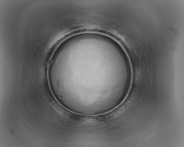 X0000112501263200908171301