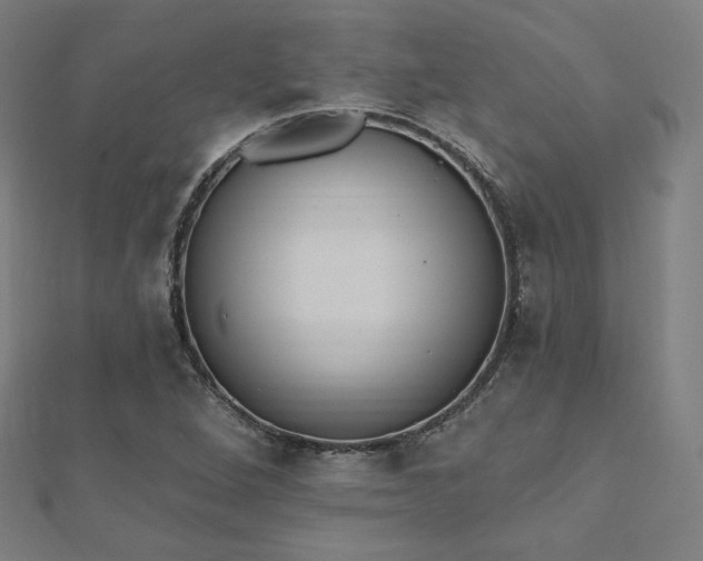 X0000112501264200908171301