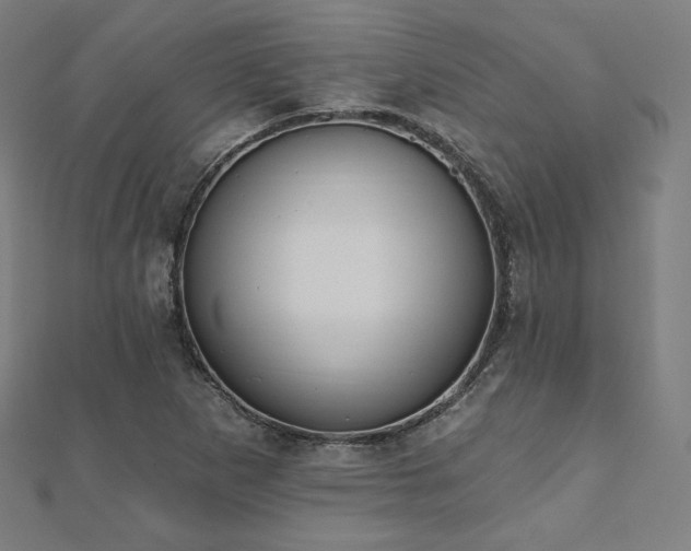 X0000112501265200908171301