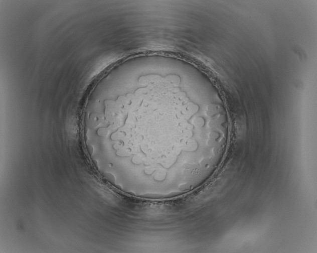 X0000112501266200908171301