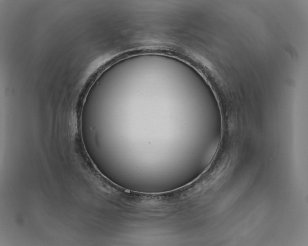 X0000112501267200908171301