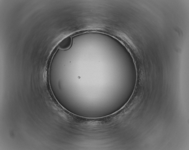 X0000112501268200908171301