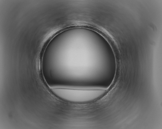 X0000112501269200908171301