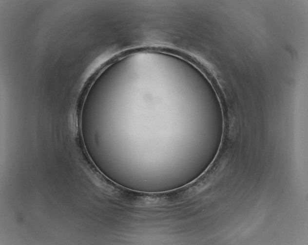 X0000112501271200908171301
