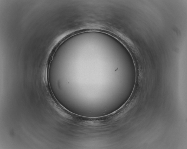 X0000112501272200908171301