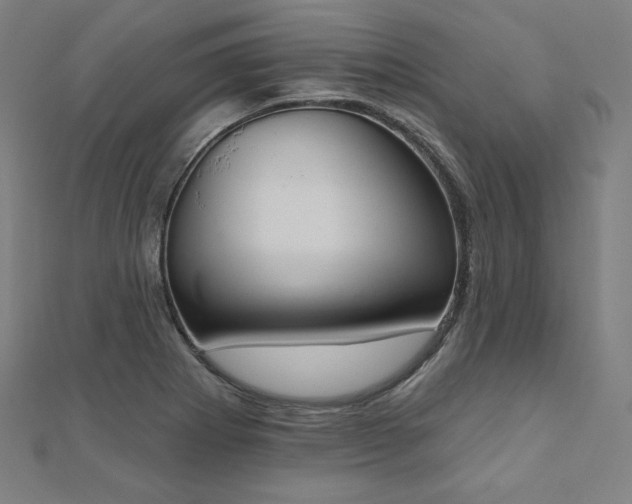 X0000112501273200908171301