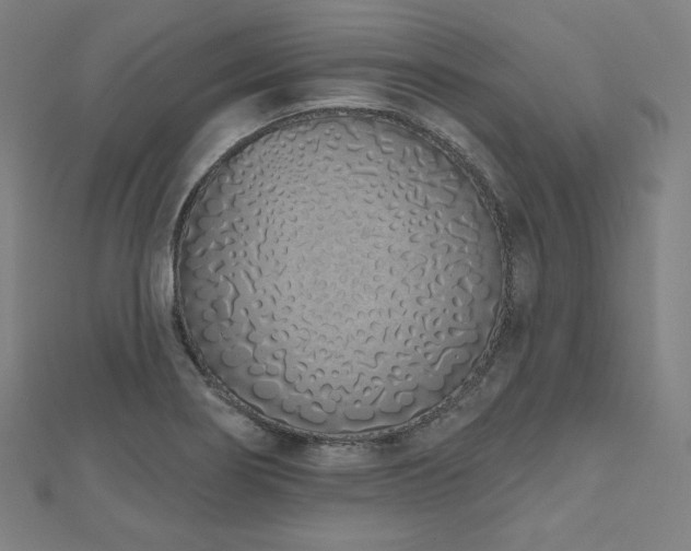 X0000112501274200908171301