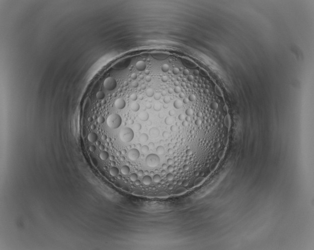 X0000112501275200908171301