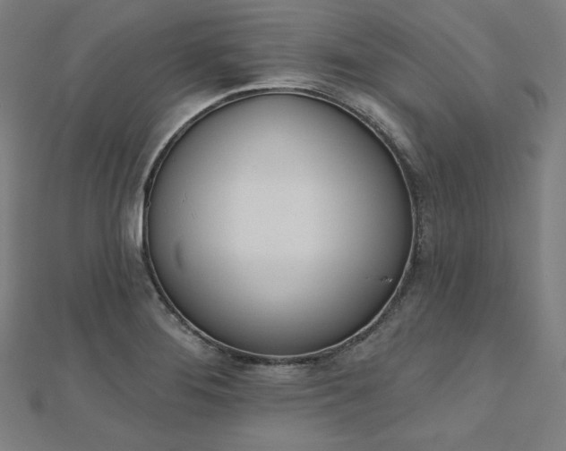 X0000112501276200908171301