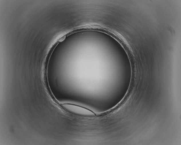 X0000112501277200908171301
