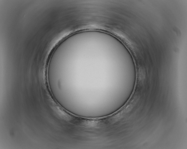 X0000112501278200908171301