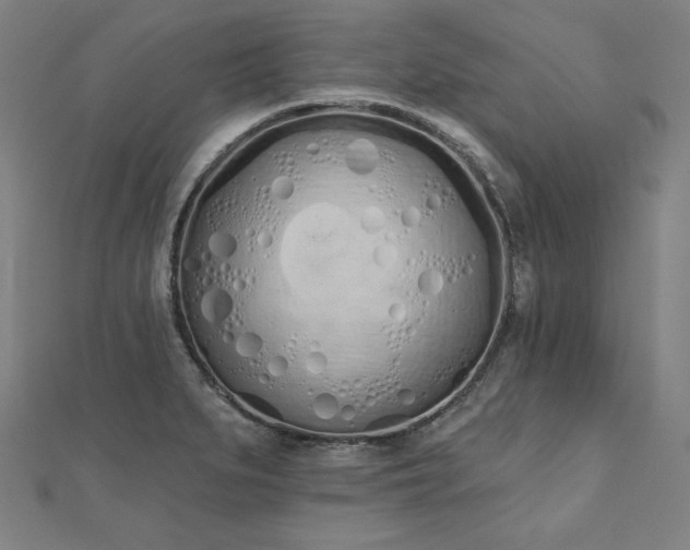 X0000112501279200908171301